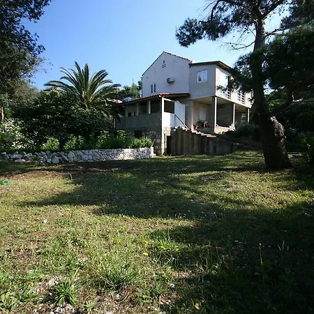 Saplunara 402c